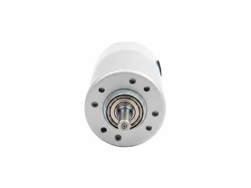 JOHNSON ELECTRIC 590000