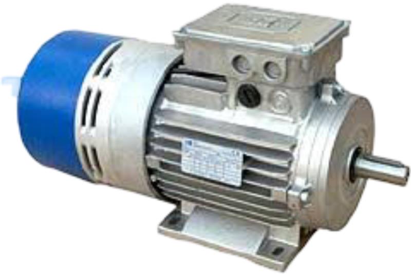 MOTORI ELETTRICI TF90LB/4 B5