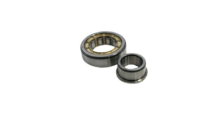 SCHAEFFLER GROUP NJ304-E-M1-C3