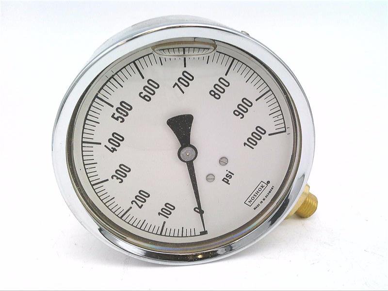 NOSHOK 40-300-1000-PSI