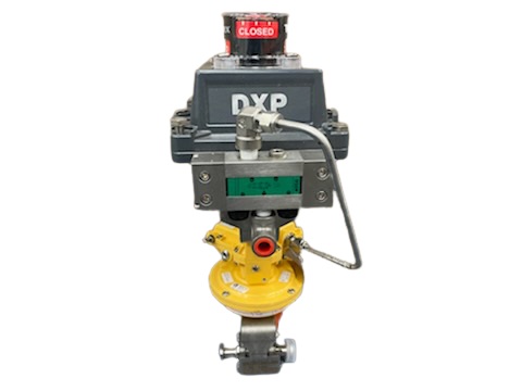 TOPWORX DXP-L2WGS4B1621