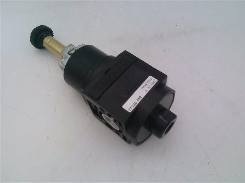 PNEUMAX 17130.M2