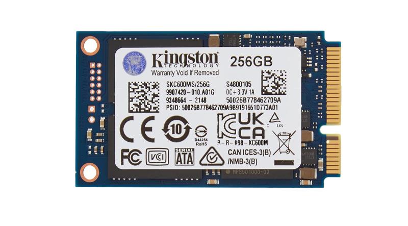 KINGSTON TECHNOLOGY SKC600MS/256G