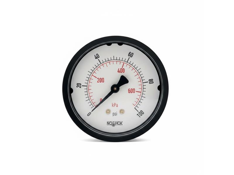 NOSHOK 25-110-100-PSI/KPA-SSB-PMC-CC