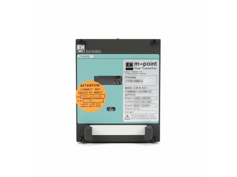 ENDRESS & HAUSER FTO1650-3-R-H2-1-N-N