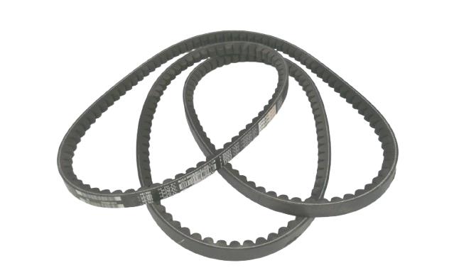 REGAL REXNORD 5VX950