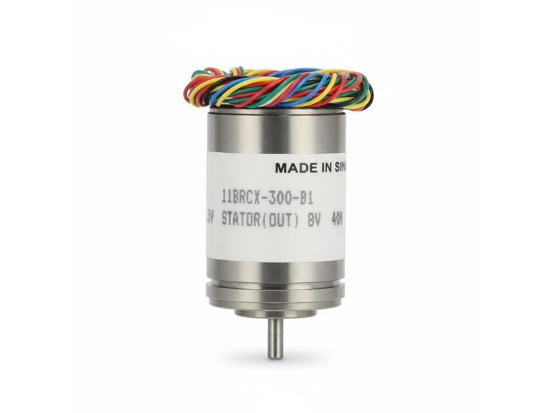 11BRCX-300-B1 by DYNAPAR