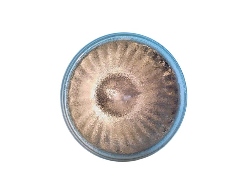 CMH100PAR38SP/EC0 by GENERAL ELECTRIC