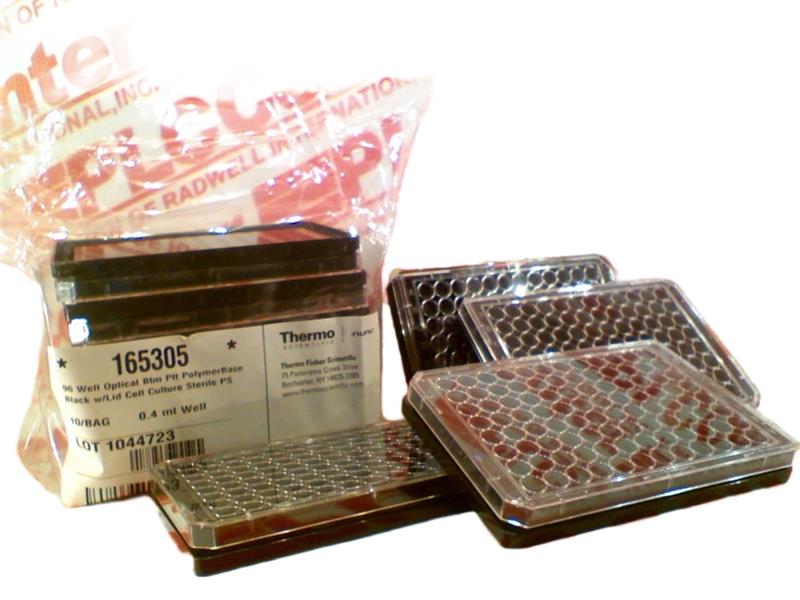 165305 by THERMO FISHER SCIENTIFIC