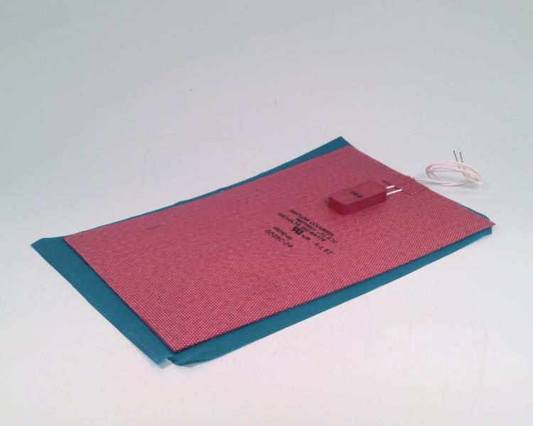WATLOW 060100C1-ALK1B