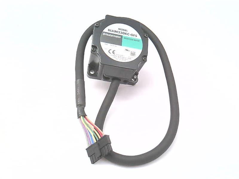 ORIENTAL MOTOR BLHM230KC-GFS