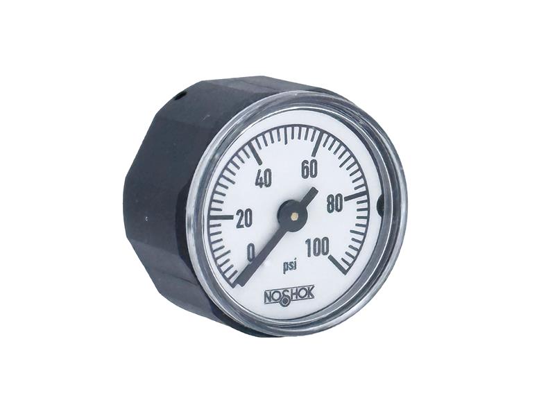 NOSHOK 10-110-100-PSI