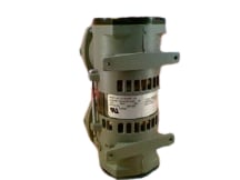 321555956-00 by THOMAS PUMPS