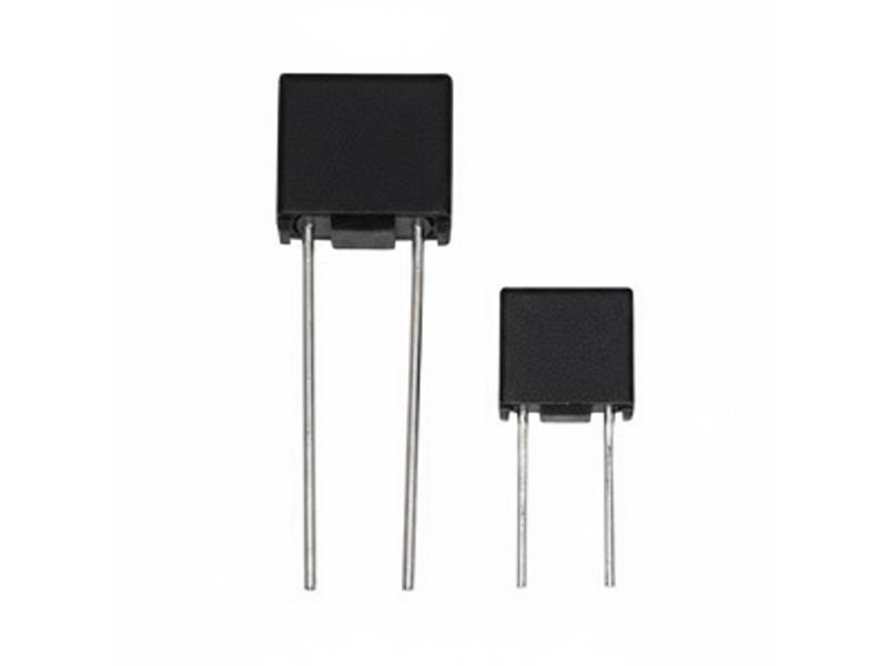 BEL FUSE 0ZRM0065FF1E