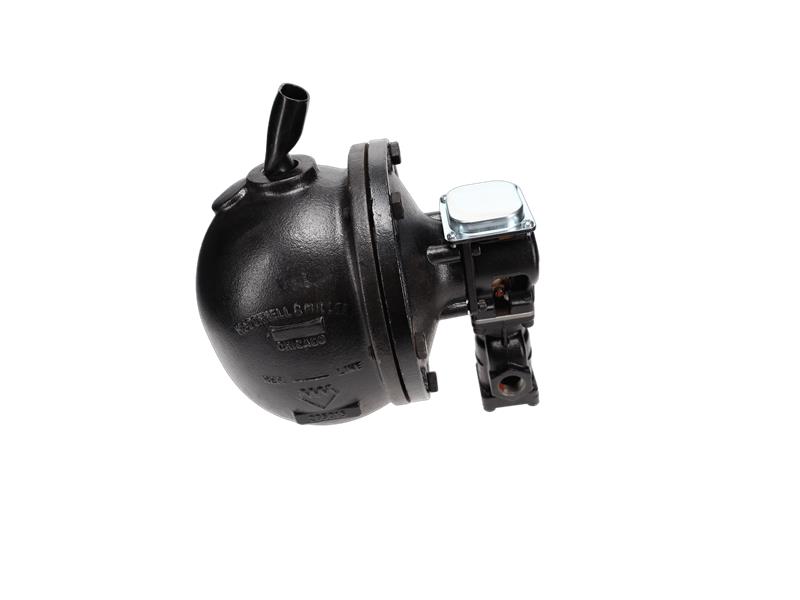 XYLEM 51