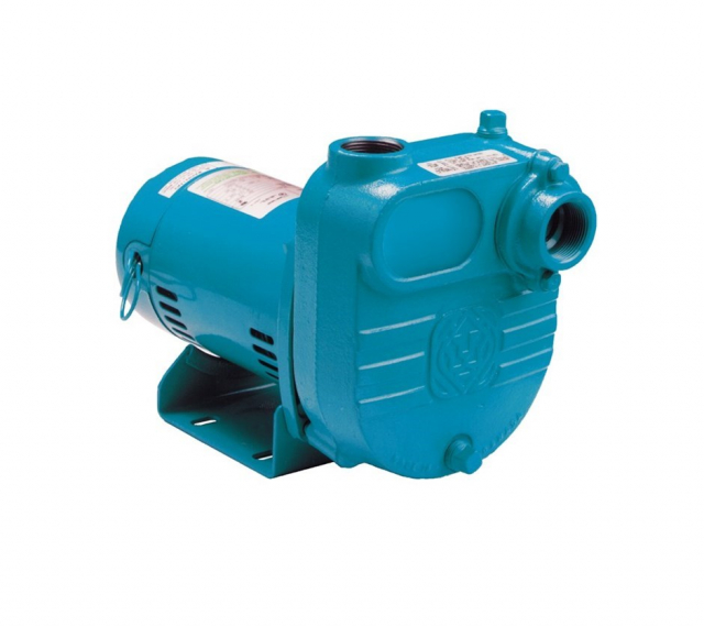 LITTLE GIANT PUMP 621815