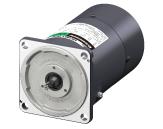 ORIENTAL MOTOR 5IK40GV-SWM