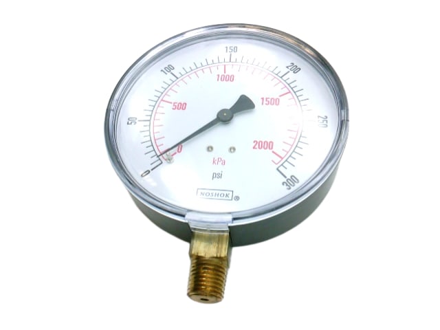NOSHOK 40-100-300-PSI/KPA-1/4-MIP