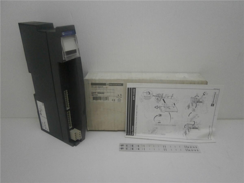 SCHNEIDER ELECTRIC APP-1CAS2