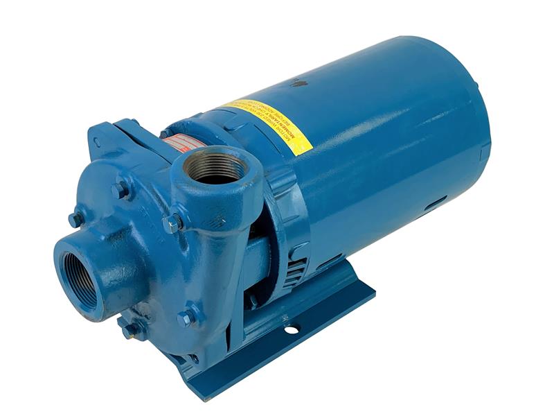 CRANE PUMPS & SYSTEMS INC 310G5-1-1/4