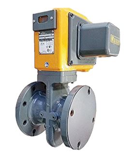 HONEYWELL 300CMA11-AA11-BB21A0