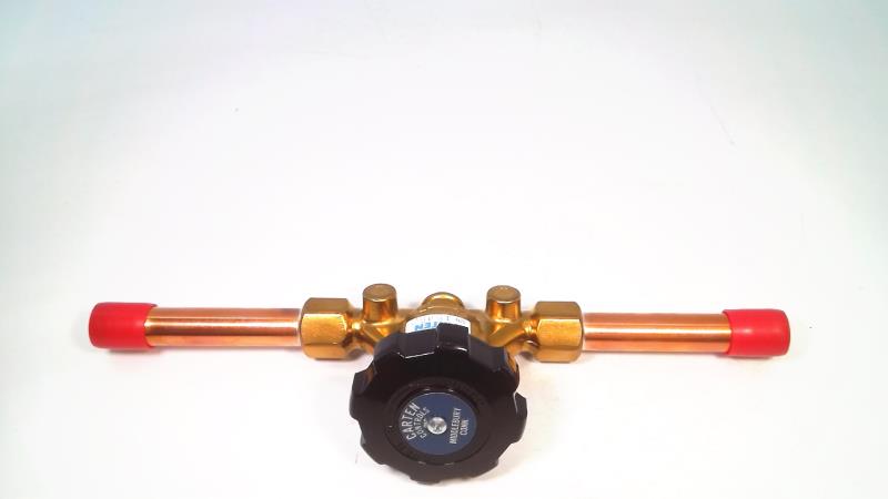 CARTEN CONTROLS 300004-04