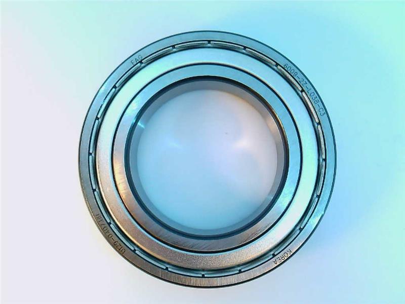 SCHAEFFLER GROUP 6009-2Z-L038