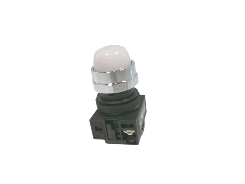 APW299D-W-120V by IDEC