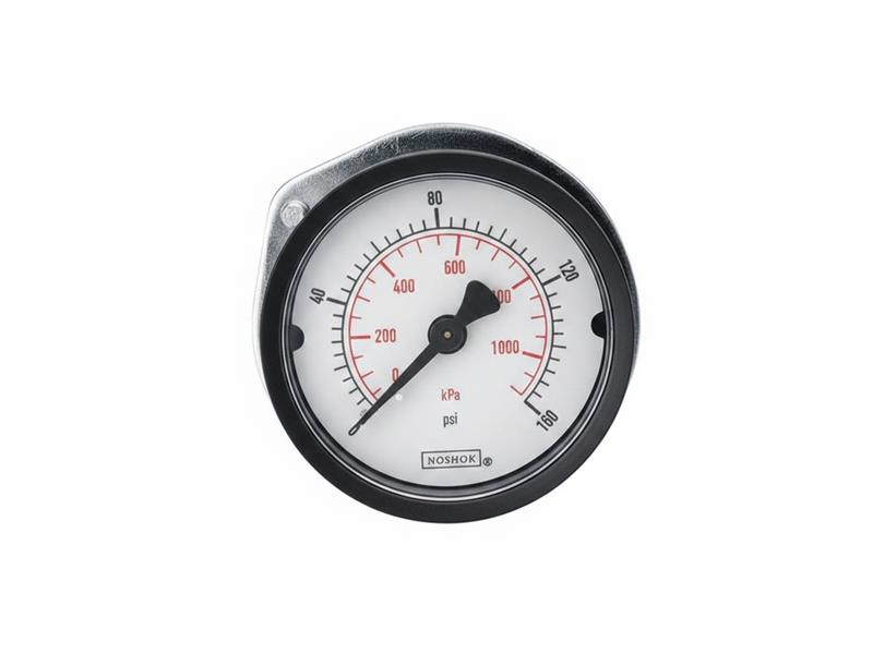 NOSHOK 20-110-60-PSI/BAR-BLFF-BP3