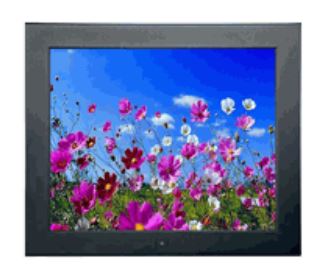 SYNERGY GLOBAL TECHNOLOGY ID-19A