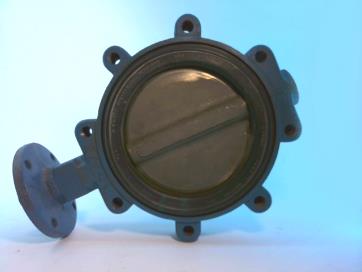 CF8M-080-1000 by PENTAIR