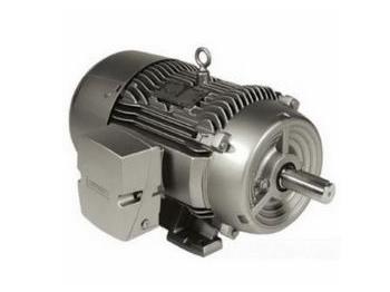 SIEMENS 1LA91134KA11