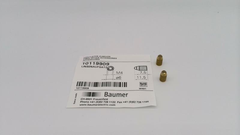 BAUMER ELECTRIC 10119909