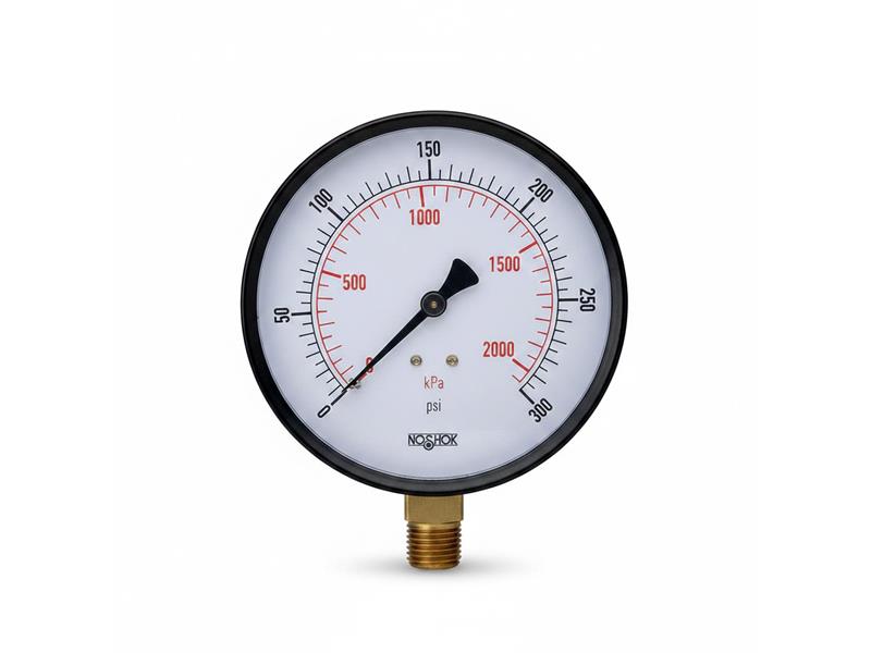 NOSHOK 15-110-160-PSI/KG/CM2-BLFF-CC