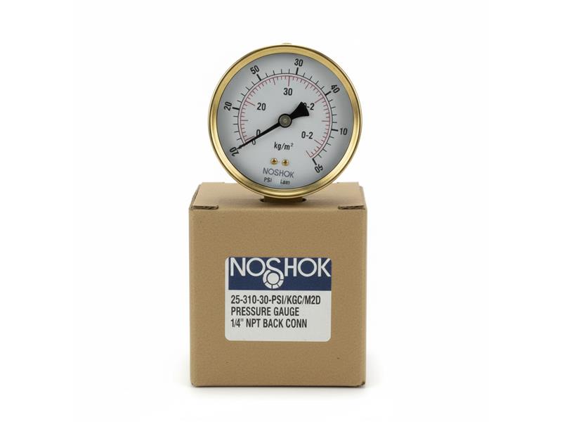 NOSHOK 25-310-30-PSI/KGC/M2D