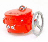 BRAY 70-0500-113DC-536K