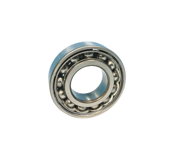 SCHAEFFLER GROUP 6007-C3