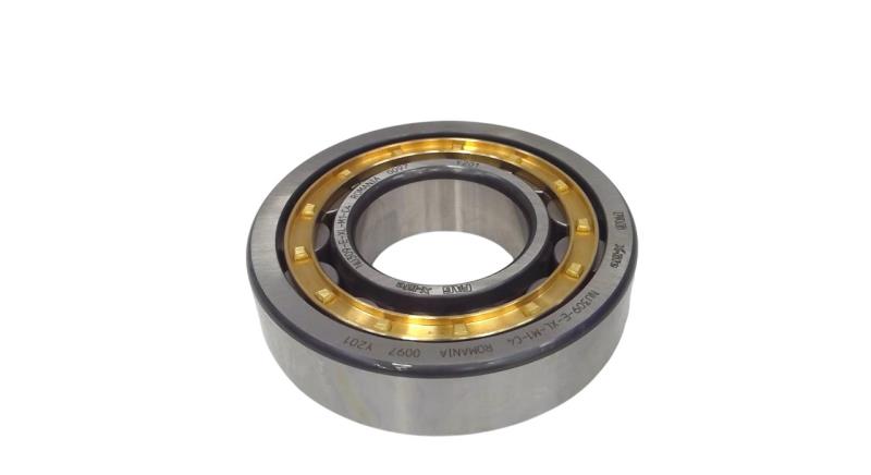 SCHAEFFLER GROUP NU309-E-XL-M1-C4