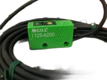 REGAL REXNORD 1725-4200