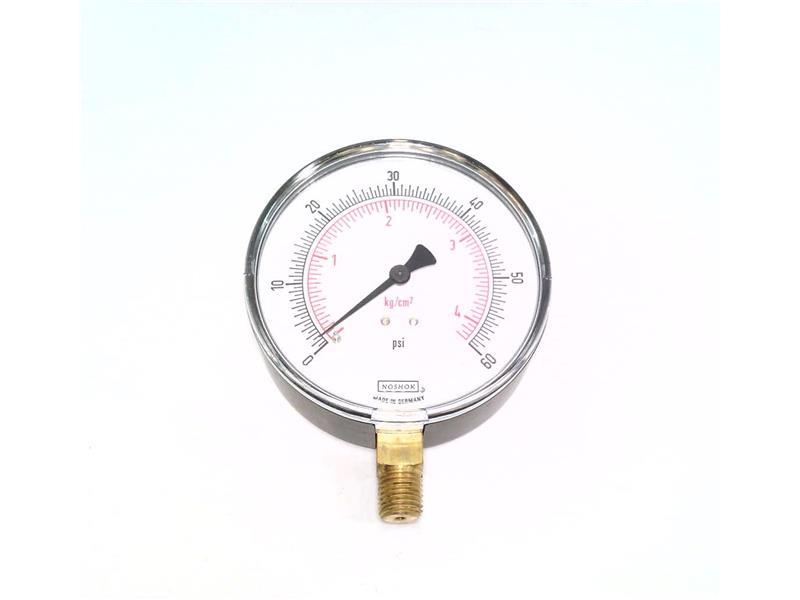 NOSHOK 40-100-60-PSI/KG/CM2