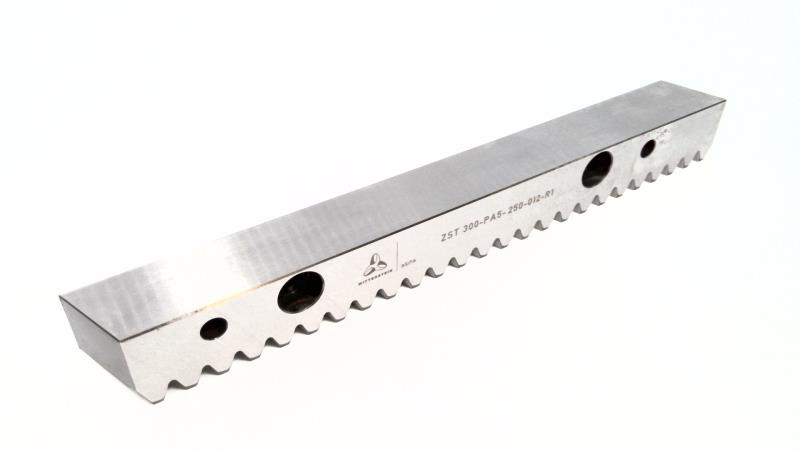 WITTENSTEIN ZST300-PA5-250-012-R1