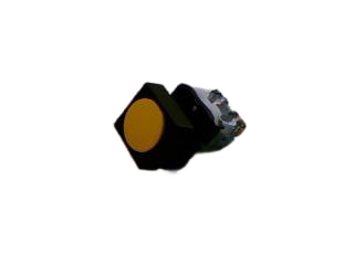 FUJI ELECTRIC AR22F0Y-10Y