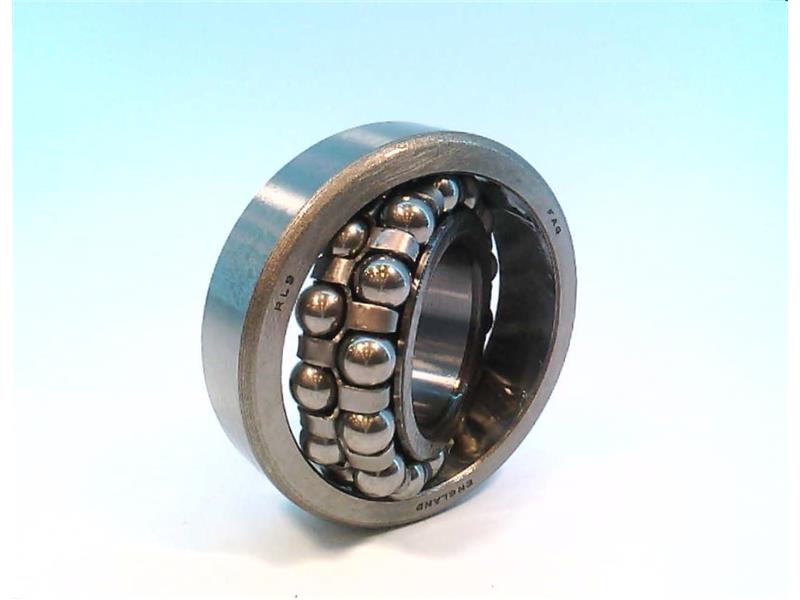 SCHAEFFLER GROUP RL-9