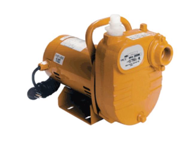 LITTLE GIANT PUMP 621814