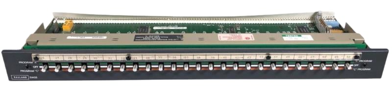 RAULAND BORG SW25