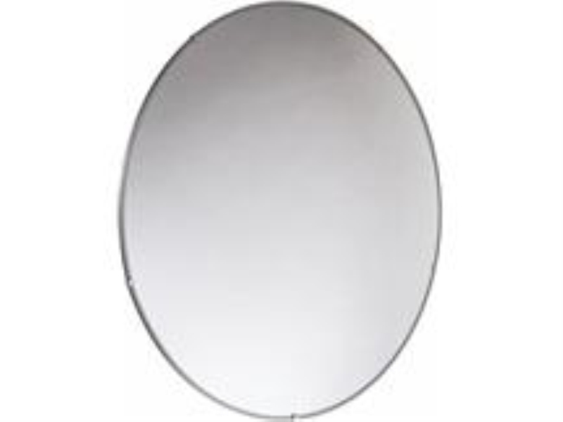 PRO SAFE INC PCIC1800