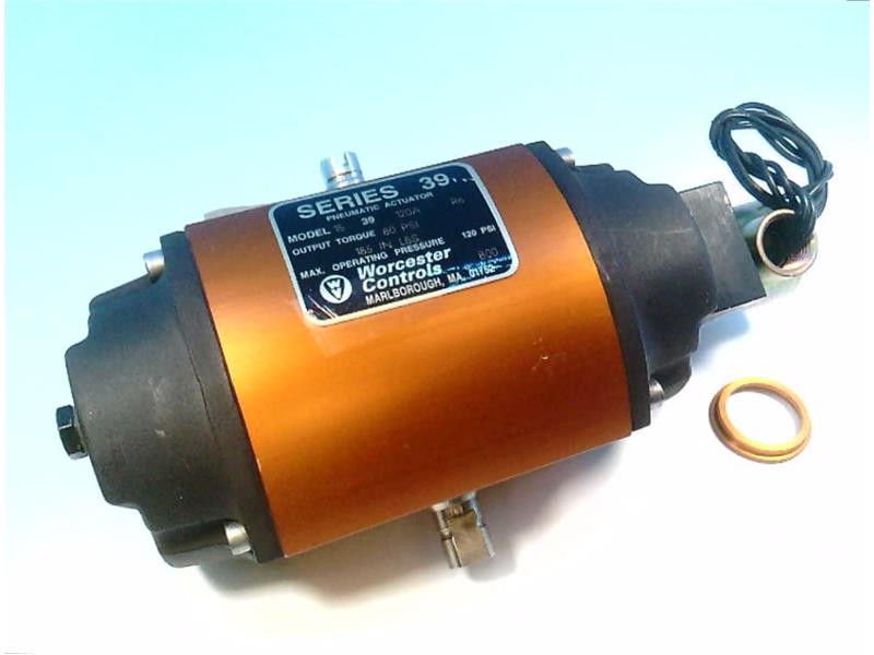 15F39-S-120A-R6 by FLOWSERVE