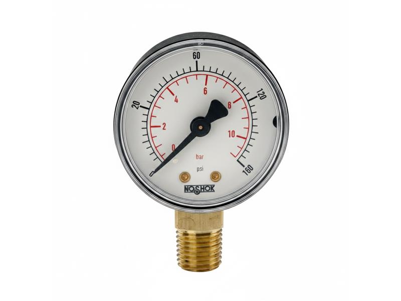 NOSHOK 20-110-100-PSI/BAR-SSB-BP3