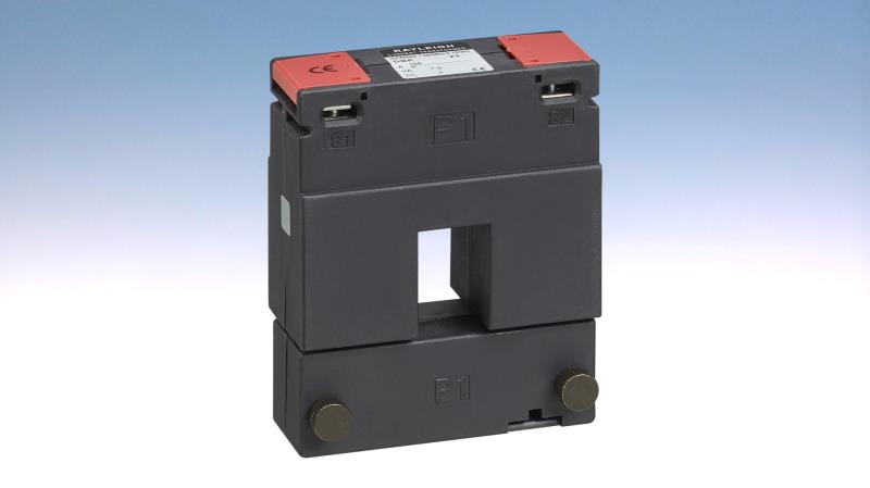 RAYLEIGH INSTRUMENTS DBP58-250/5A