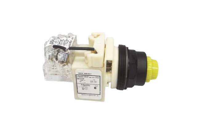 SCHNEIDER ELECTRIC 9001-SKT38LYY31